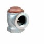 Leader G.M Angel Check Valve