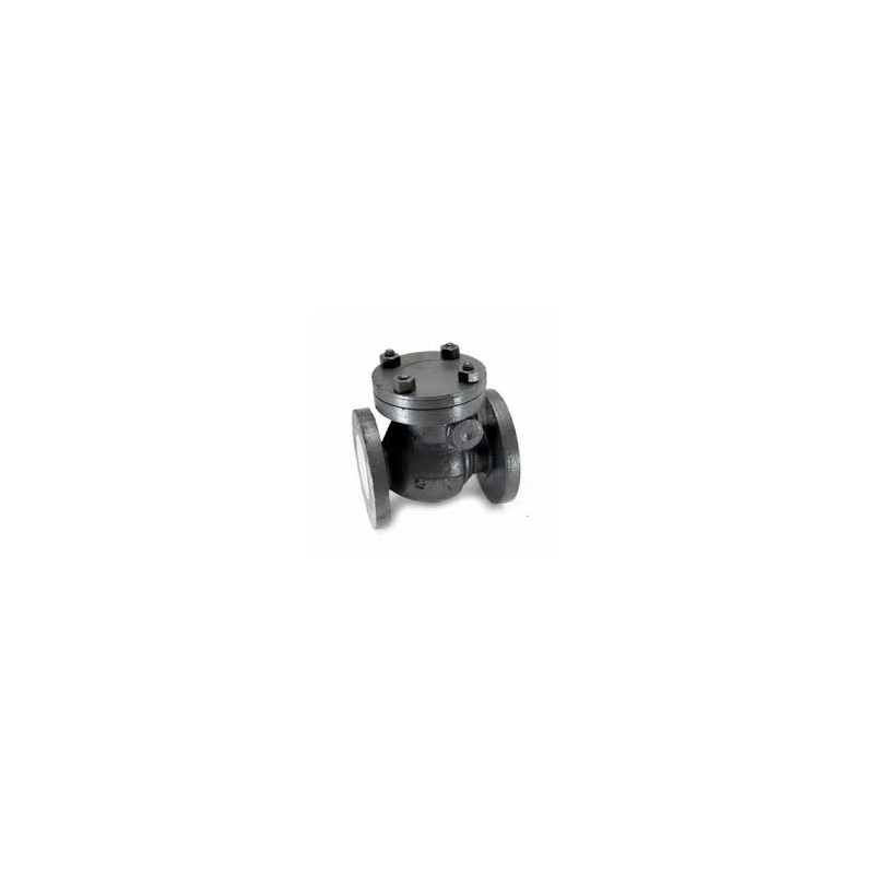 Leader C.I Swing Check Valve GM/SS