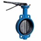 Leader C.I Butterfly Valve PN-16 SS Disc