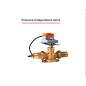 Castle  Pressure Independent Control Valve with Thermal Actuator PN16