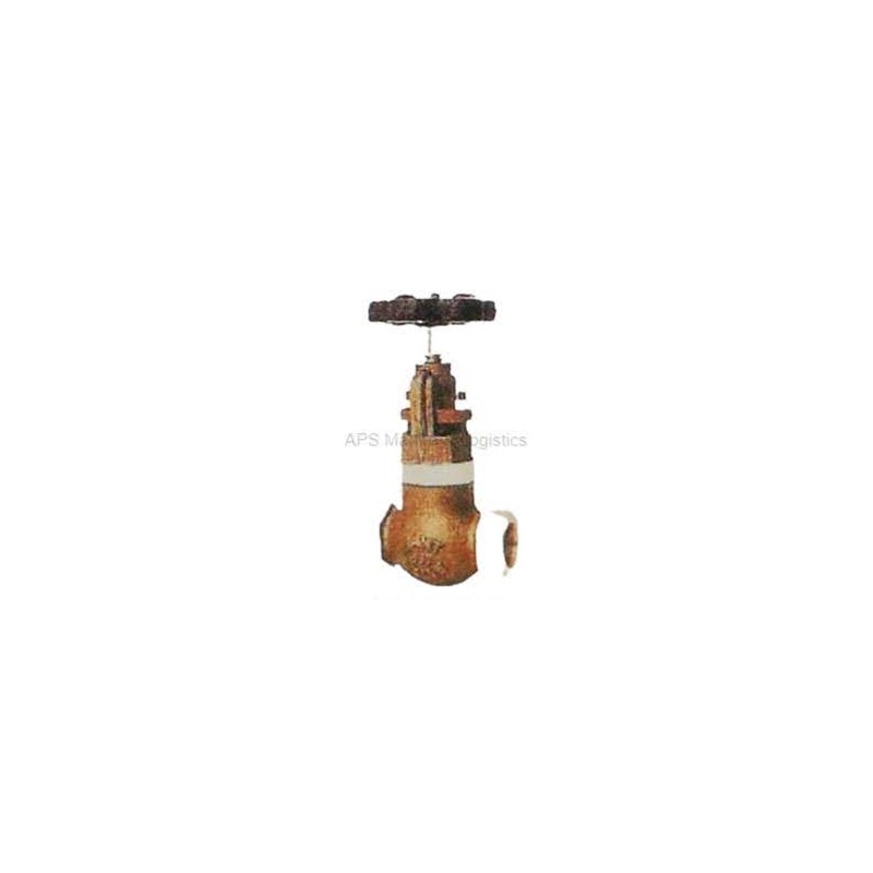 Sant Bronze Controllable Feed Check Valve