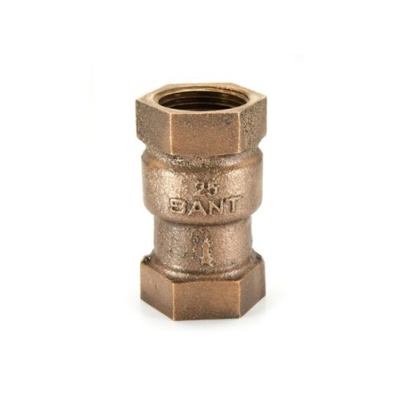 Sant Bronze Vertical Lift Check Valve