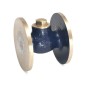 Sant Bronze Horizontal Lift Check Valve Flange class-1