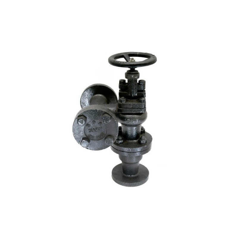 Sant CI Accessible Feed Check Valve