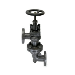Sant CI Accessible Feed check Valve