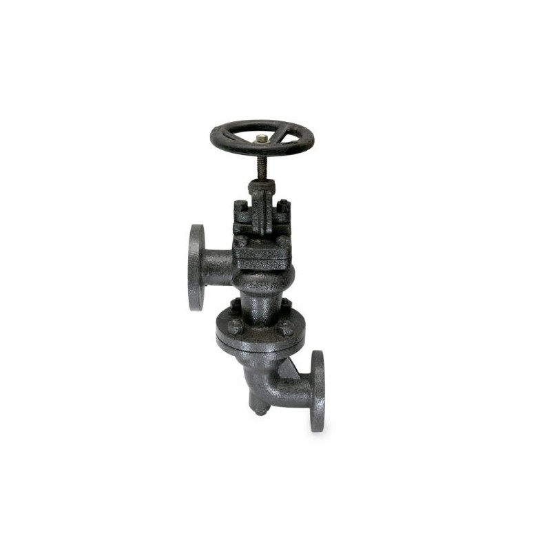 Sant CI Accessible Feed check Valve