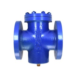 Sant CI 'T' Strainer Flanged