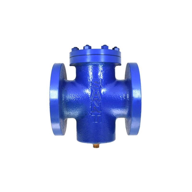 Sant CI 'T' Strainer Flanged