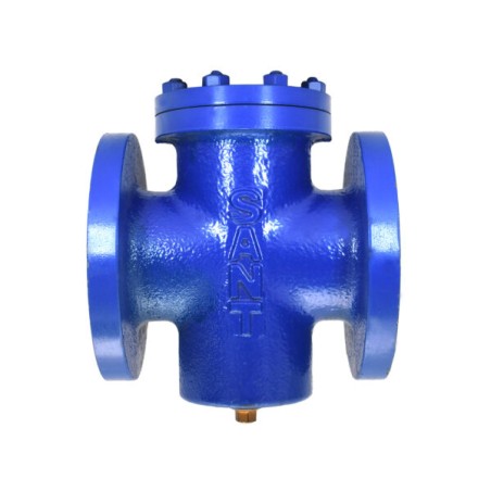 Sant CI T Strainer Flanged