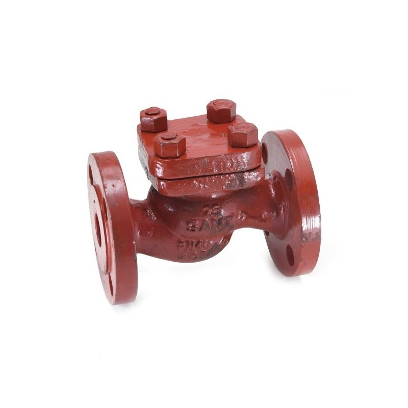 Sant Cast Steel Horizontal Check Valve PN-40