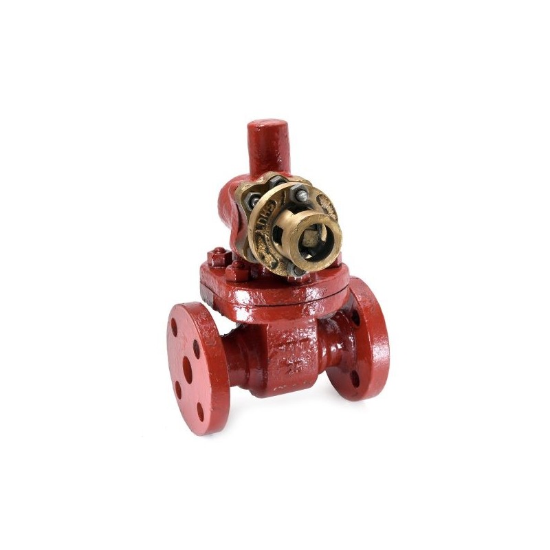 Sant Cast Steel Parallel Slide Blow Off Valve