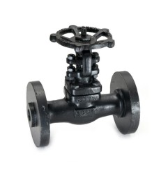 Sant Forged Steel Gate Valve Class-600