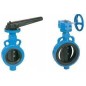 Atam C.I Butterfly Valve With Stainless Steel Disc PN-16