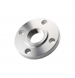 SS 304 Flange