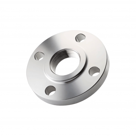 SS 304 Flange