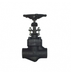 UPC Forged Steel Globe Valve Class 800