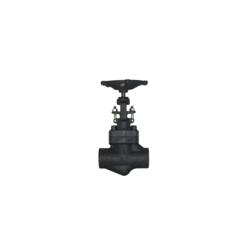 UPC Forged Steel Globe Valve Class 800