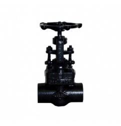 UPC Forged Steel Gate Valve Class 800