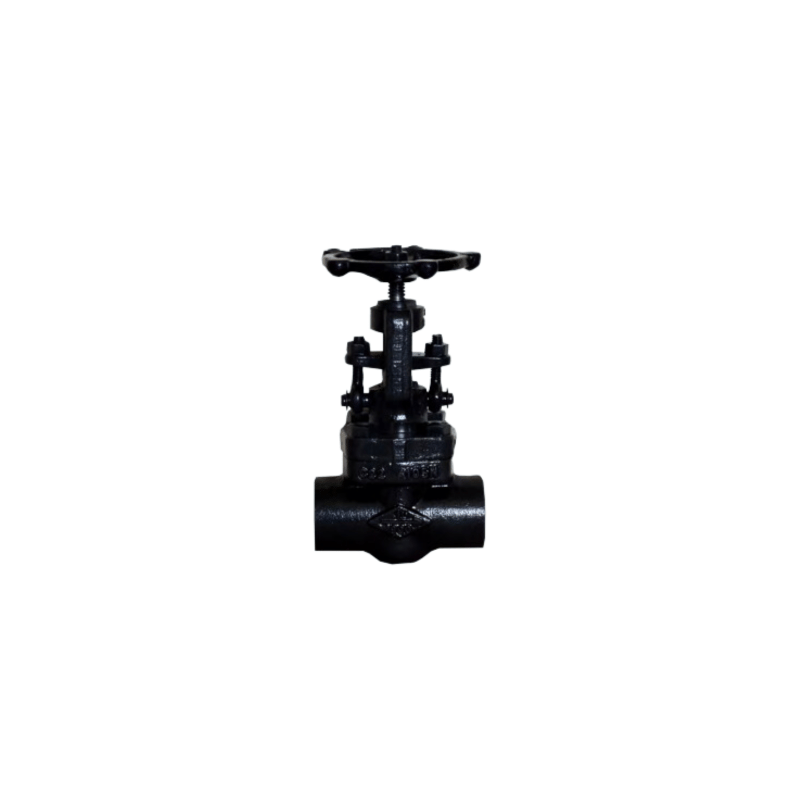 UPC Forged Steel Gate Valve Class 800