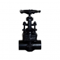 UPC Forged Steel Gate Valve Class 800