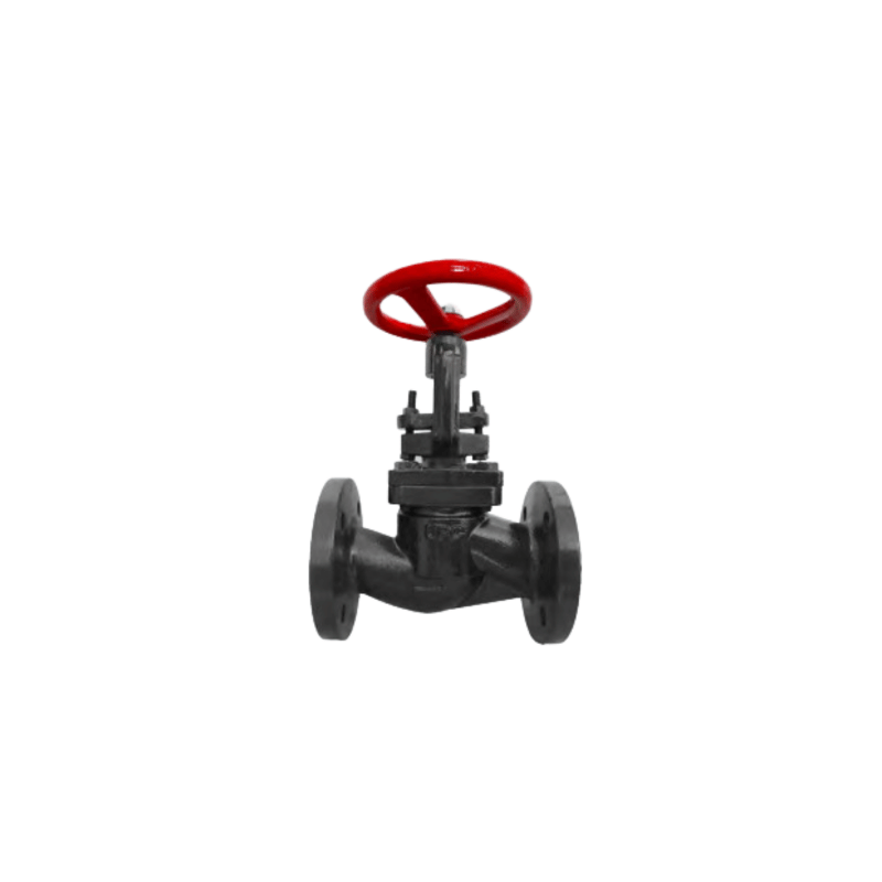 UPC Cast Iron Globe Valve