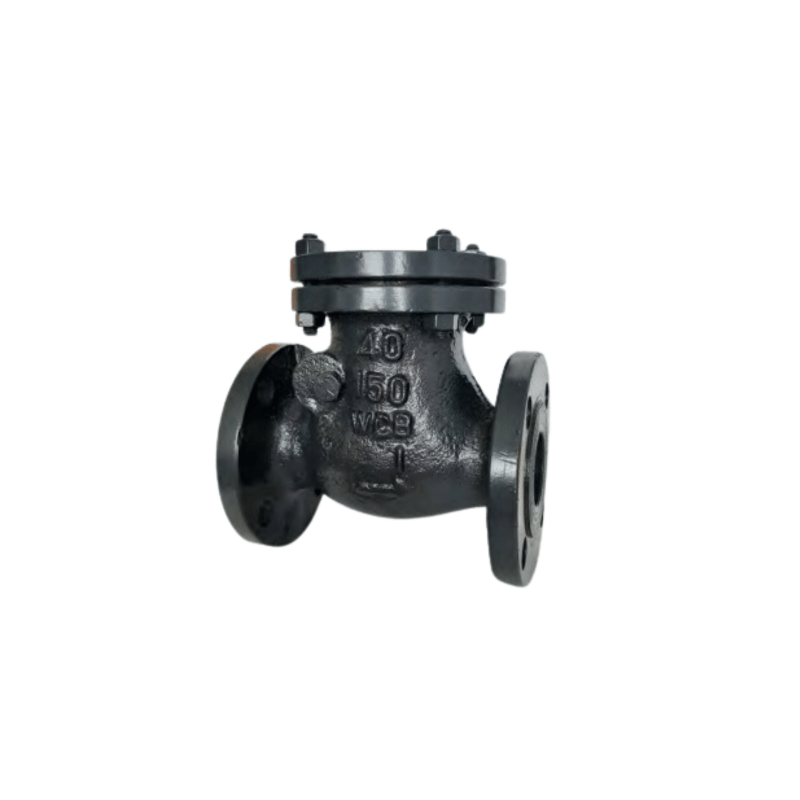 UPC Flange End Swing Check Valve Class 300