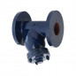 Zoloto Cast Iron Y-Type Strainer PN-16 Flanged