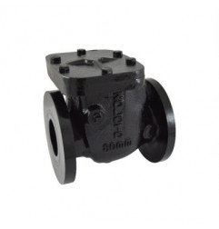 Zoloto Cast Iron Non - Return Valve PN-10 (Flanged)