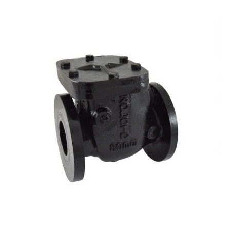 Zoloto Cast Iron Non - Return Valve PN-10 (Flanged)