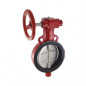 Zoloto Butterfly Valve (Wafer Type), PN-25 With SS-304 Disc Gear Operated