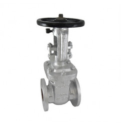 Zoloto Cast Steel Gate Valve Class-150 (Flanged)