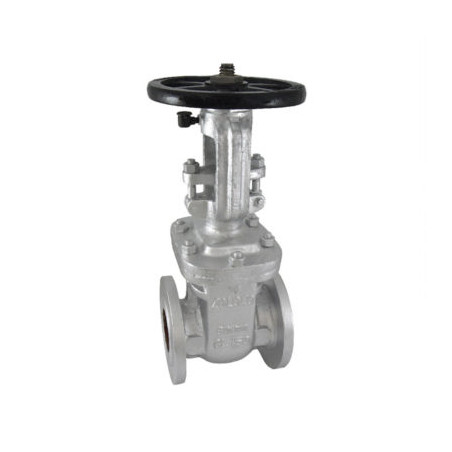 Zoloto Cast Steel Gate Valve Class-150 (Flanged)