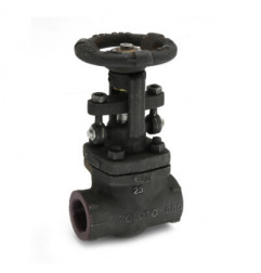 Zoloto Forged Steel Gate Valve, Class-800 (Full Bore)