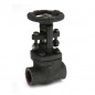 Zoloto Forged Steel Gate Valve, Class-800 (Full Bore)