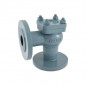 Zoloto Cast Iron Horizontal Lift Check Valve Angle Pattern (Flanged)