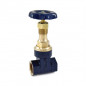 Zoloto Bronze Gate Valve Rising Stem (Screwed)