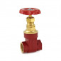 Zoloto  Bronze Gate Valve Class- 2 (Screwed)