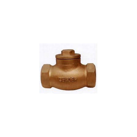 LEADER G.M.Union Cap Check Valve