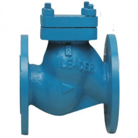 Leader C.I.NRV.Horizontal PN-16 (Flanged)