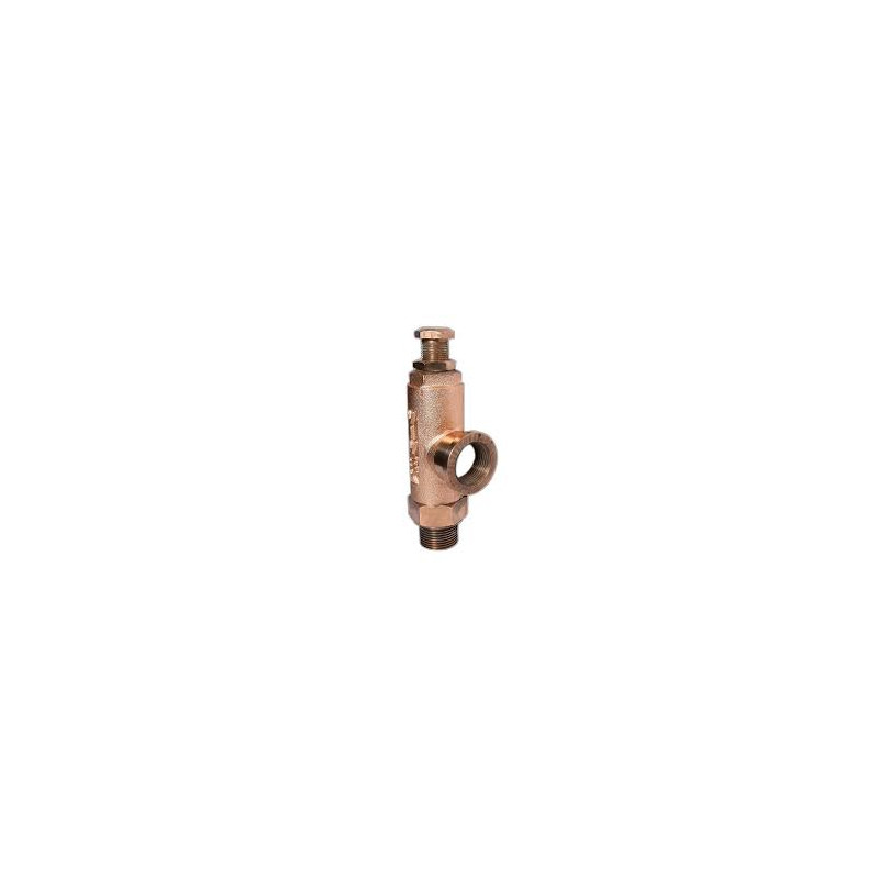 Leader Bronze Relief Valve Angle Type