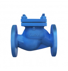 CI LIFT CHECK VALVE PN-16 (UPC-HLCV-442) IBR