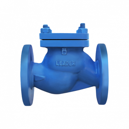 CI LIFT CHECK VALVE PN-16 (UPC-HLCV-442) IBR