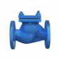 CI LIFT CHECK VALVE PN-16 (UPC-HLCV-442) IBR