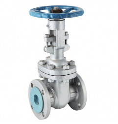 CS GATE VALVE FLANGE END 150 (UPC-SGTV-437) IBR