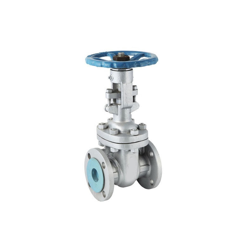 CS GATE VALVE FLANGE END 150 (UPC-SGTV-437) IBR