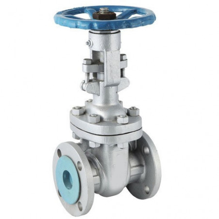 CS GATE VALVE FLANGE END 150 (UPC-SGTV-437) IBR