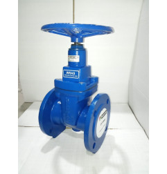 Kartar RED COLOUR D.I. Resilient (Soft) Seated Gate Valve