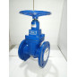 Kartar RED COLOUR D.I. Resilient (Soft) Seated Gate Valve