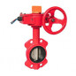 Kartar RED COLOUR Wafer Type C/I Butterfly Valve with S.S. Disc