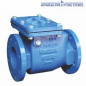 Kartar RED COLOUR Ductile Iron Non Return Reflux Valve